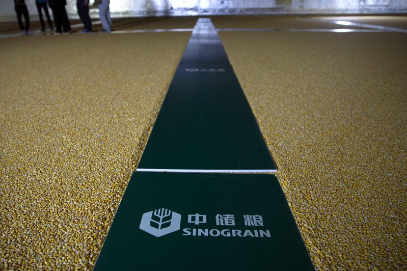 部分西方批評者指控中國囤糧，對全球糧價有如火上加油。圖為中國國營中儲糧集團在河北省保定市倉庫裡儲存的玉米粒。路透