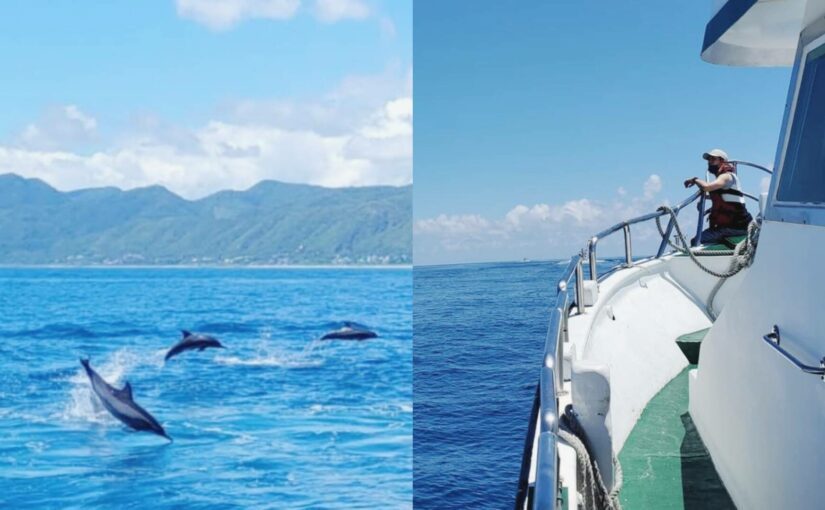 賞鯨一直是喜愛大自然的旅客們來花蓮必玩的旅遊景點。 圖／好好玩台灣