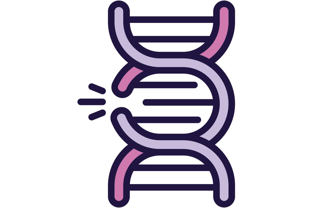 基因編輯的過程其實就是剪切DNA，對DNA而言是一種損傷。