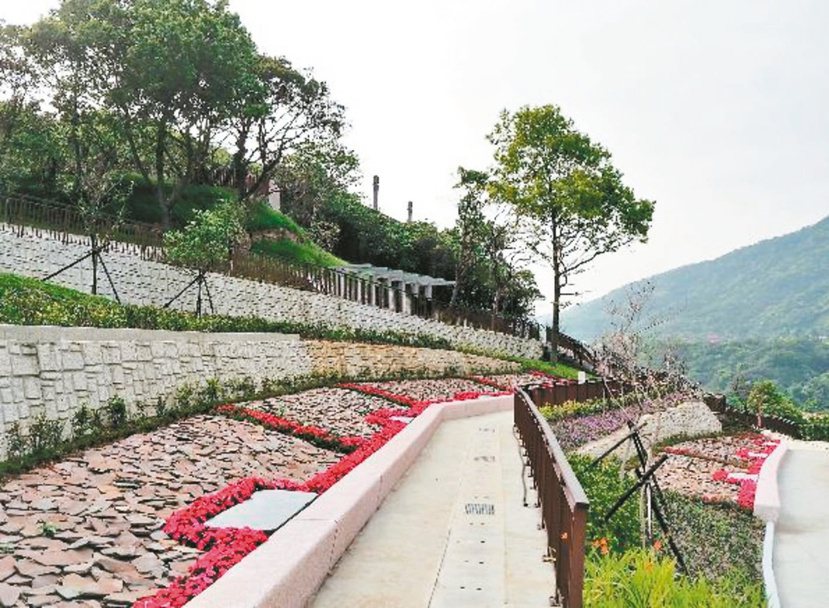 為推廣環保葬，台北市去年闢建富德新樹葬區「落羽之丘」。本報資料照片