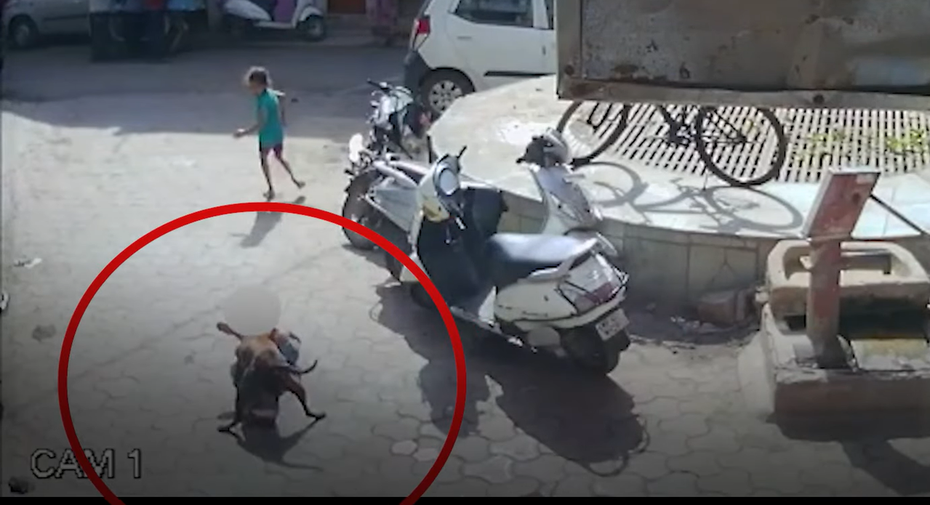 女童被流浪犬追逐跌倒，慘遭狗狗大力撕咬在地哀嚎。 (圖/取自Youtube)