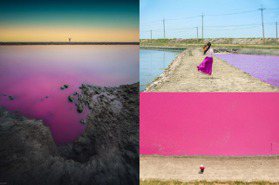 台南超隱秘「粉紅海」如上帝調色盤　免跑離島美拍「粉色池塘摩西分海」
