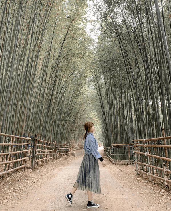 烏嘎彥竹林在2020年之前被稱為日本小京都，因為那鬱鬱的綠竹林與電影「藝妓回憶錄...