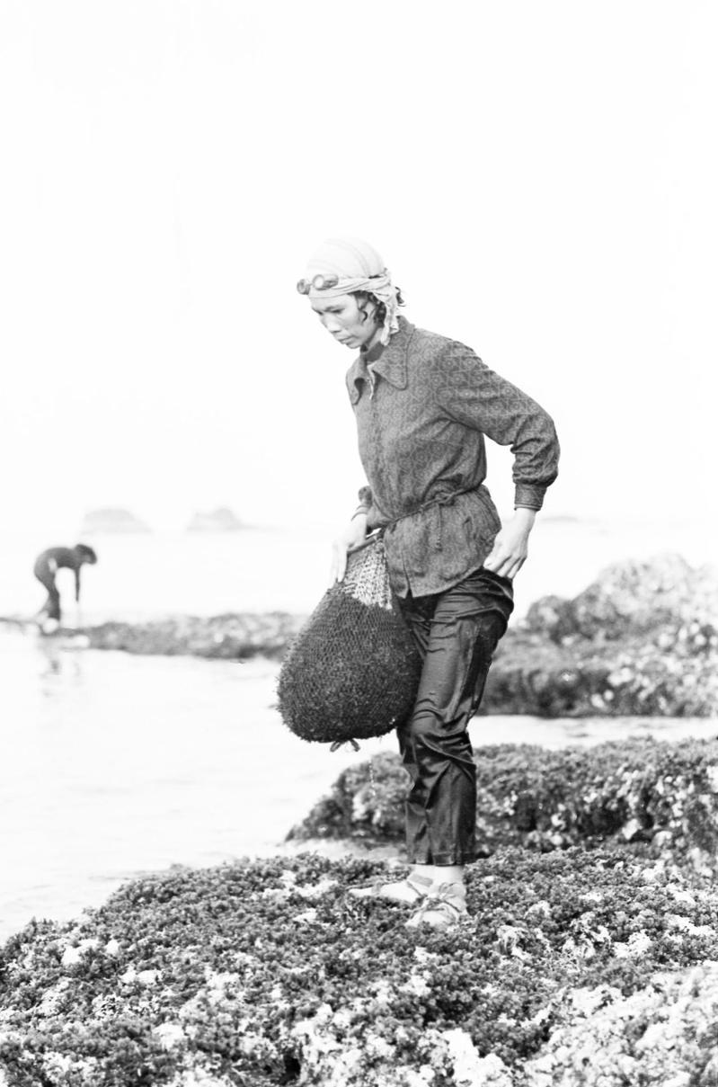 北海岸野柳海女的裝備很簡單，普通衣服、膠鞋之外，只要花20元買一只尼龍編織的網袋。圖／聯合報系資料照片