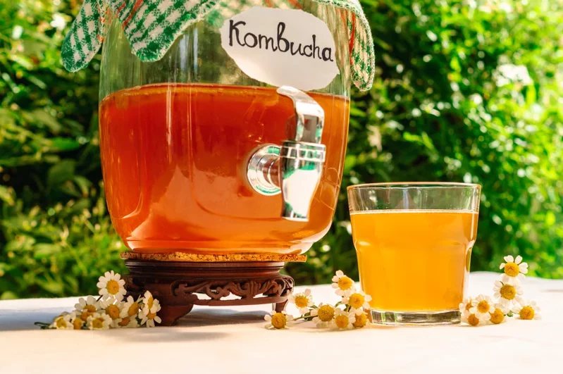 康普茶是由茶、糖和紅茶菌母(SCOBY)一起發酵而成的飲料，喝起來酸酸甜甜且帶有...