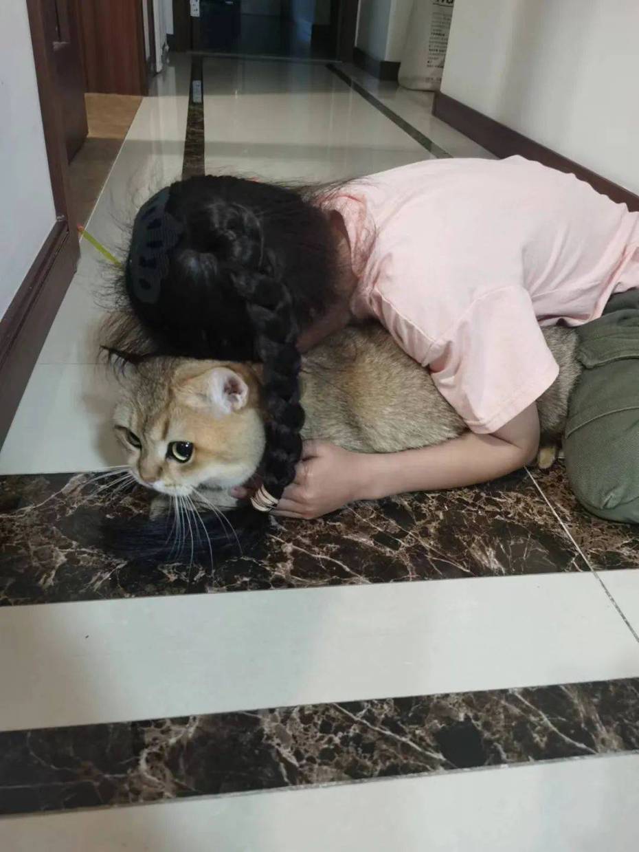 一名20多歲的年輕妹子平常喜歡吸貓，結果吸到臉上長香港腳。 （圖/取自《搜狐新聞》）
