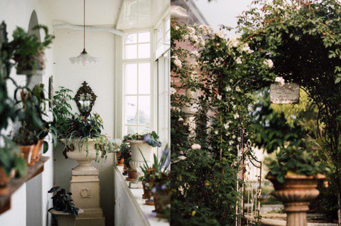 言睿和媽媽將花園概念延伸到屋內；前後陽台加上窗戶，透光長廊上的植物層次，是客人絕...