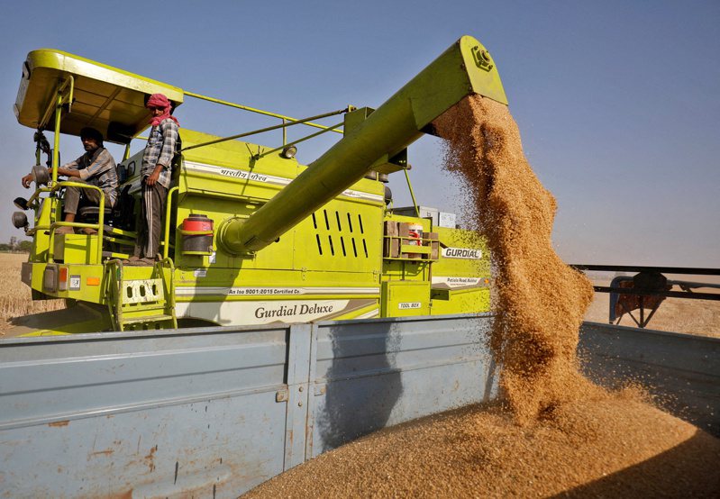 全球糧價因俄烏戰爭上漲之際，印度卻正在禁止小麥出口。路透