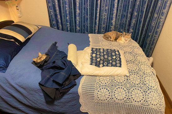 貓咪捨棄專用床「裹主人脫下衣物當棉被」露顆頭呼呼大睡  