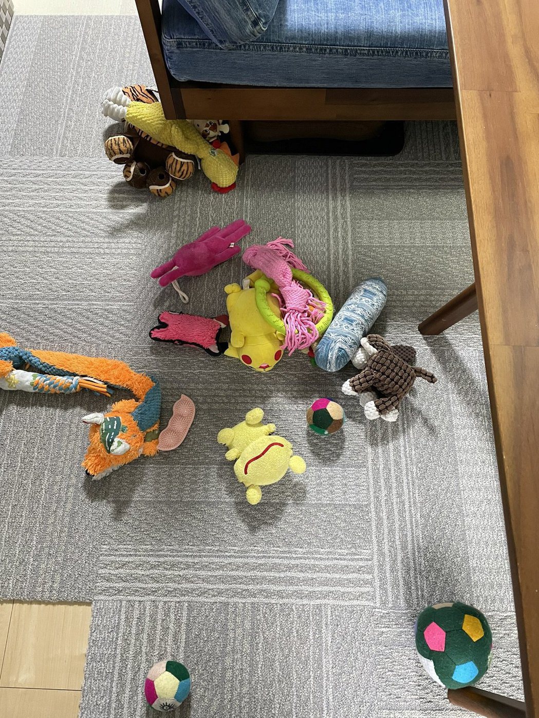 飼主跟網友們分享腳邊散落的玩具。圖／ChinaObachan517