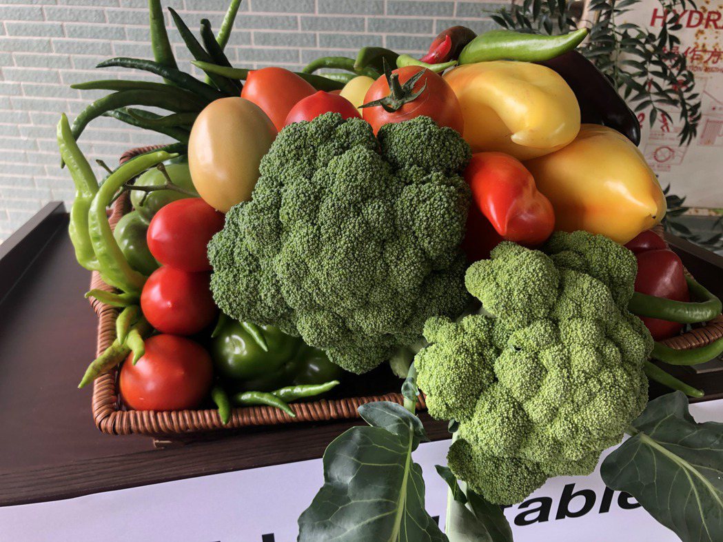 世界蔬菜中心今天展示蕃茄、番椒、青花菜三大主力作物新品系。記者周宗禎／攝影