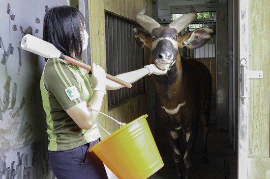 北市動物員揭一日工作 保育員：要有替動物著想的心