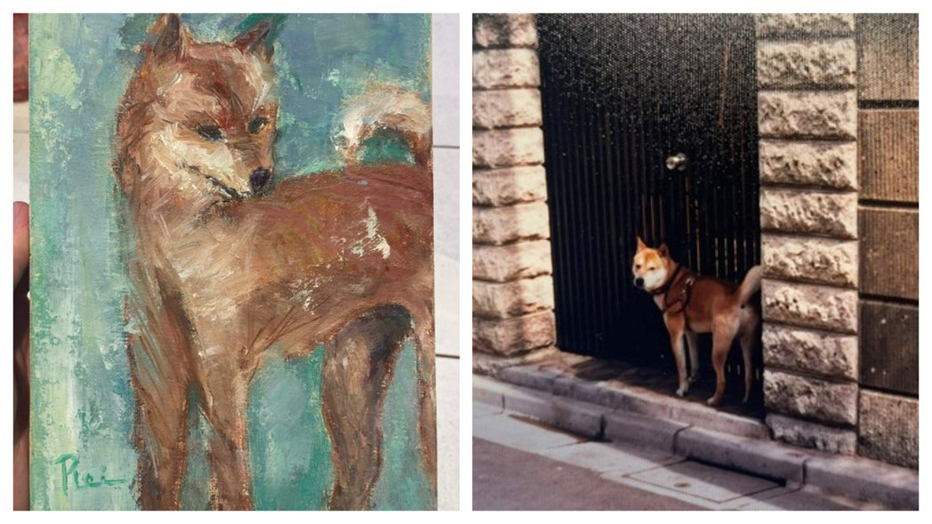 一名男網友在二手店購入柴犬油畫，拆開發現裡面竟藏有9張柴犬照片，讓他決定要找到主人還給他。(圖/まいどなニュース)