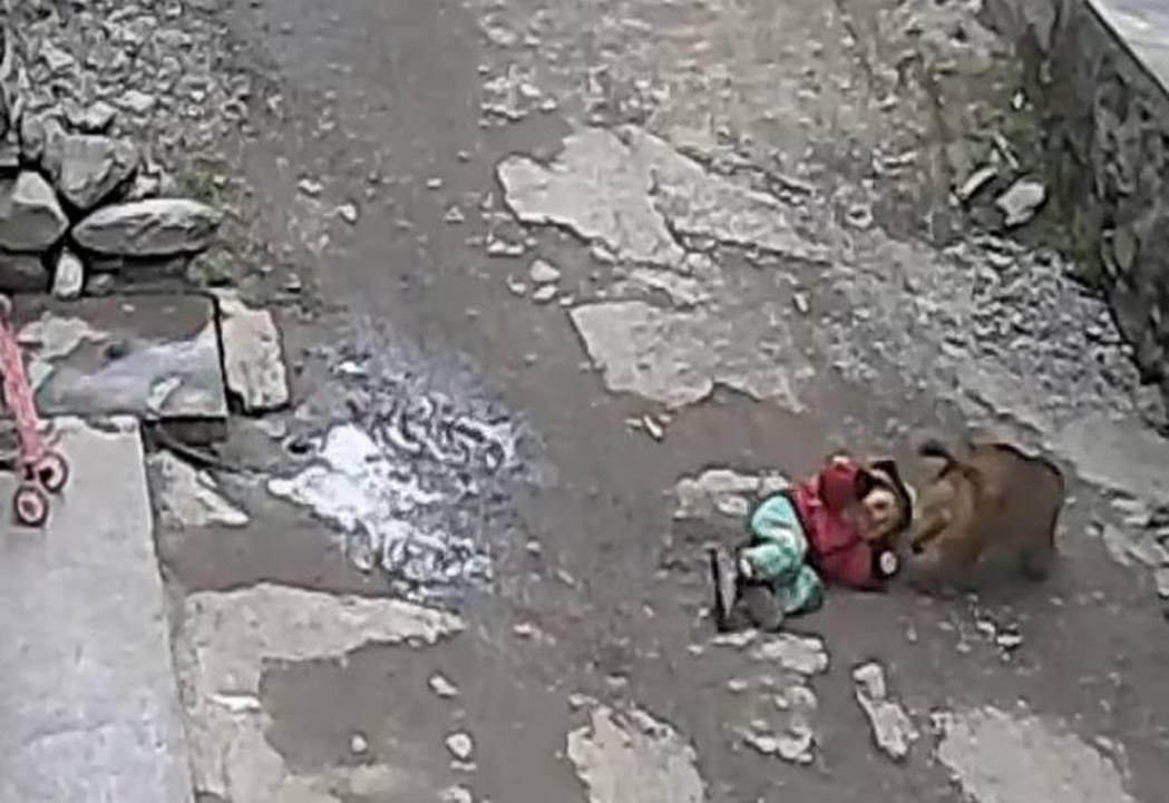 重慶今年發生猴子把女童撲倒在地，再抓住女童後領一路拖走。（影片截圖）