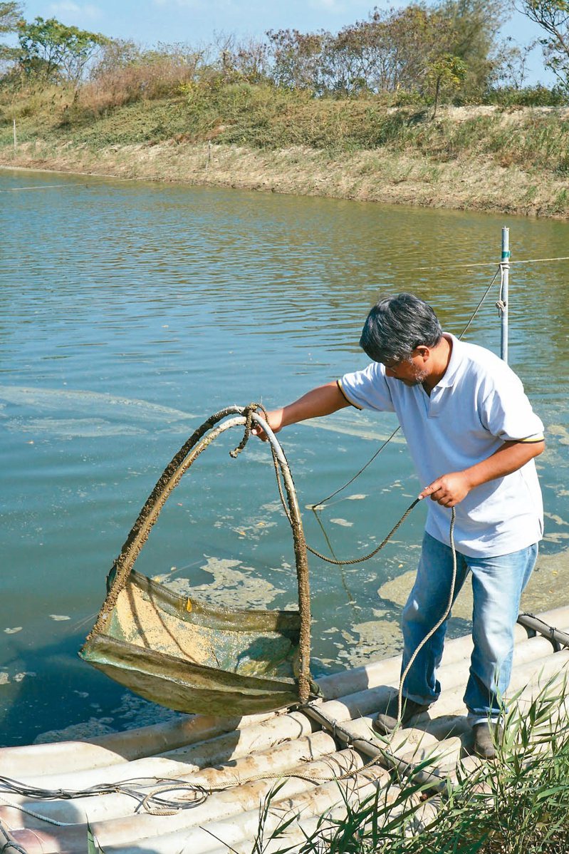 邱經堯每天巡池看水，維持自然生態養殖的環境平衡。圖／于國華提供