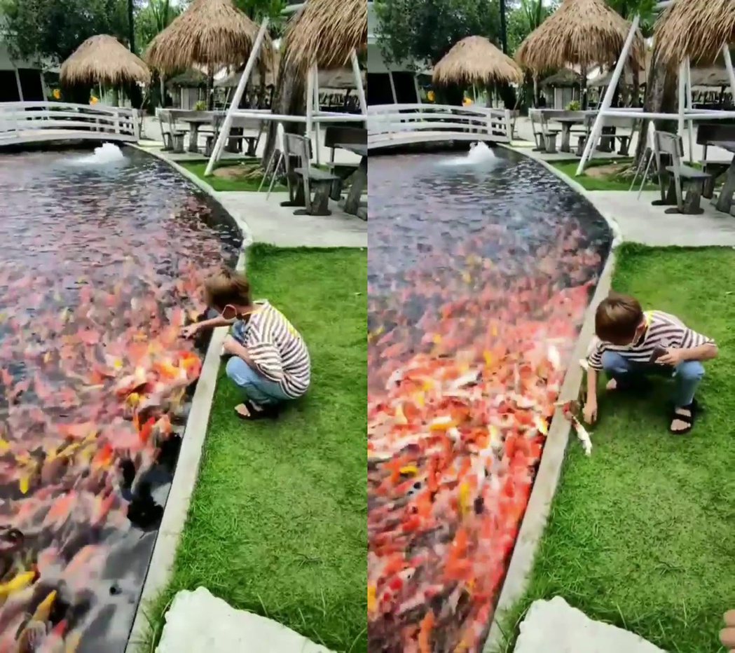 一個小男孩在觀景池邊打算餵食池中的錦鯉。圖／翻攝自IG