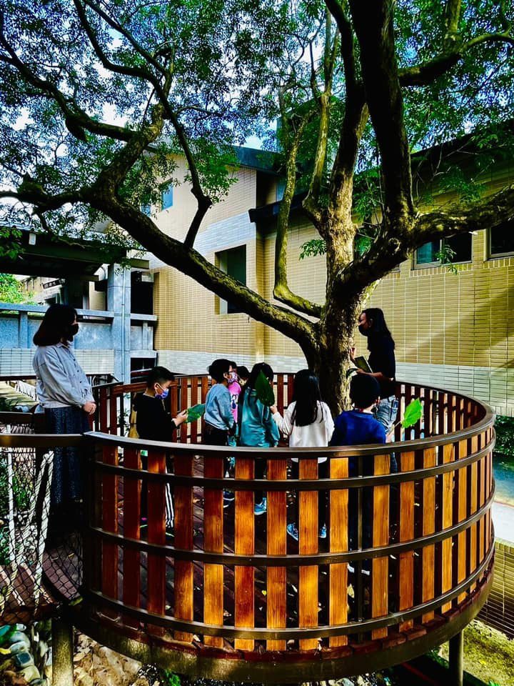 港西國小校園在光臘樹上建造一座「光臘樹故事館」，學生能走階梯在樹上、樹下穿梭。圖／港西國小提供