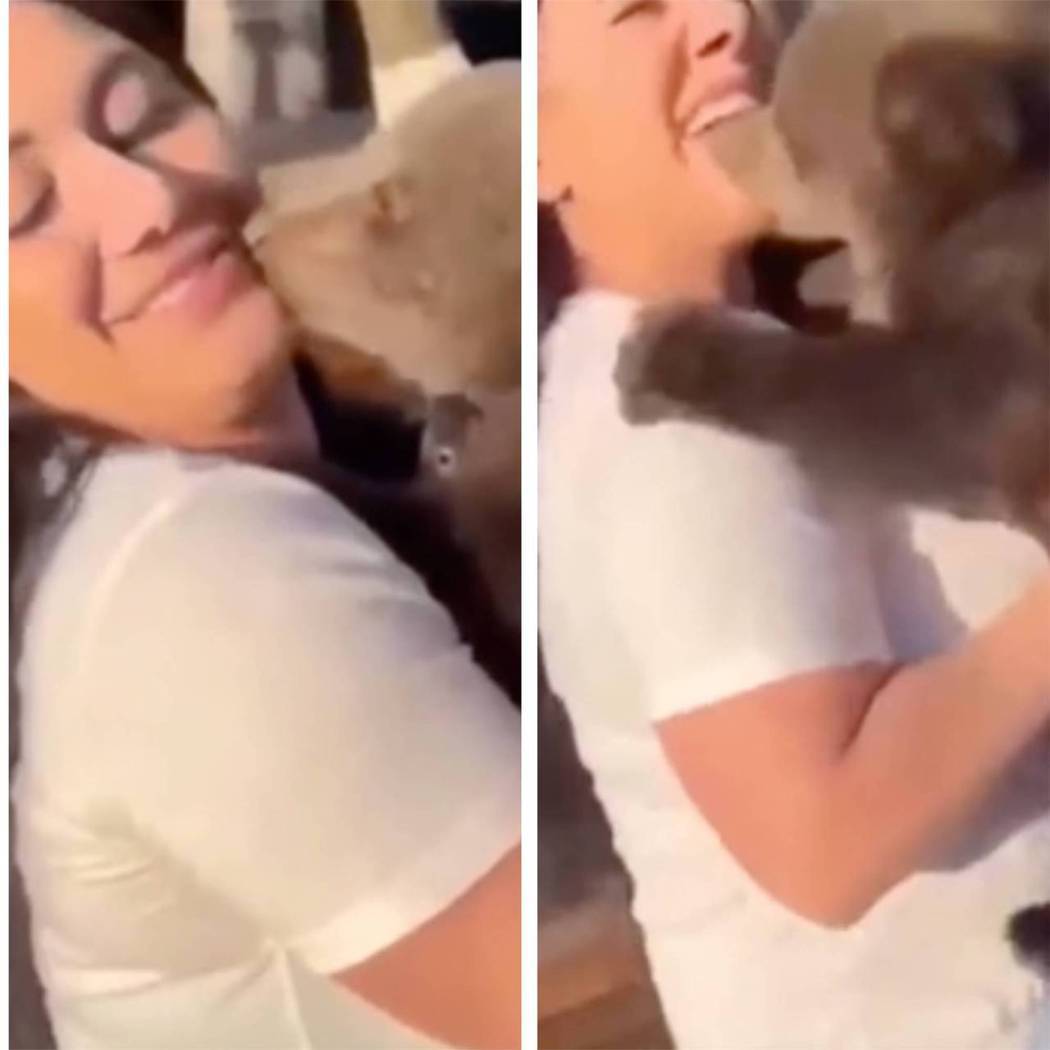 女子被小熊咬下巴。圖取自youtube