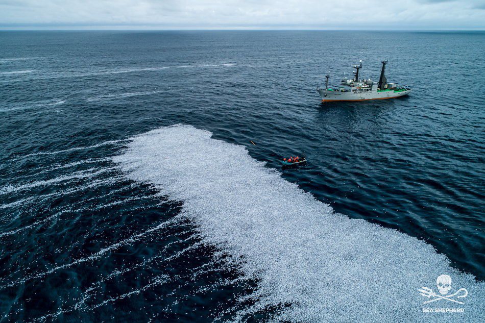 今年2月，一艘荷蘭籍拖網漁船在海上拋棄了10萬條死魚，銀色的魚屍覆蓋了法國海岸數...
