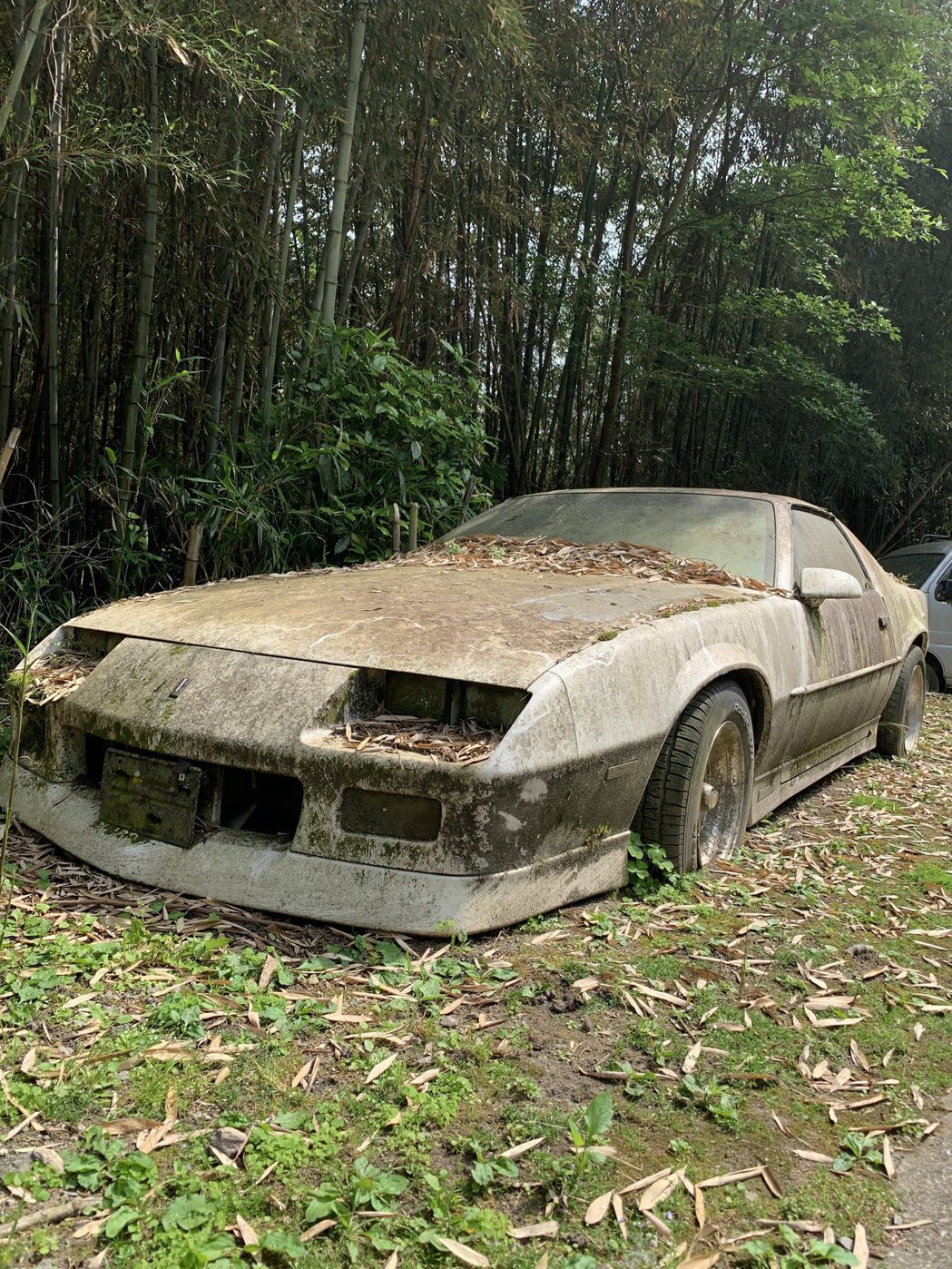 一台被遺棄多年的轎車，讓網友想起「神隱少女」裡的段落。圖擷取自twitter