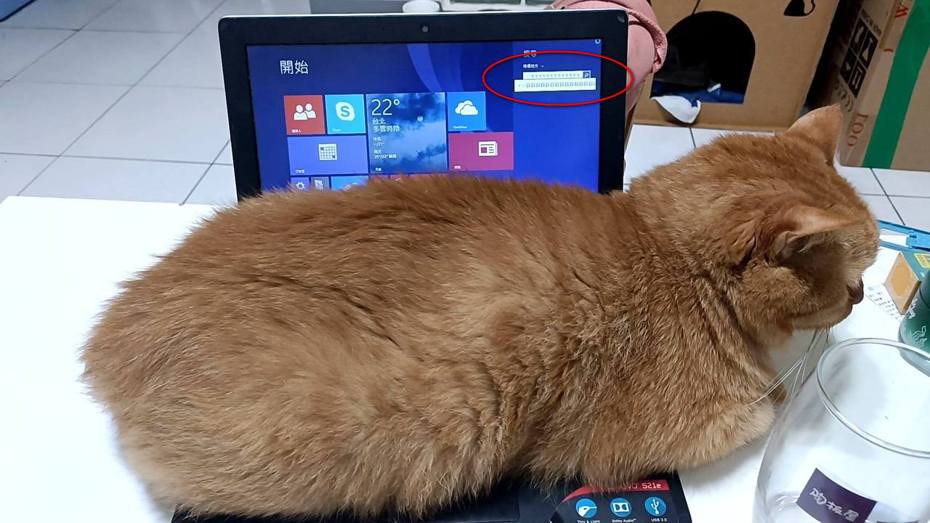 貓咪在電腦螢幕留下訊息。圖擷自貓咪也瘋狂俱樂部 CrazyCat club