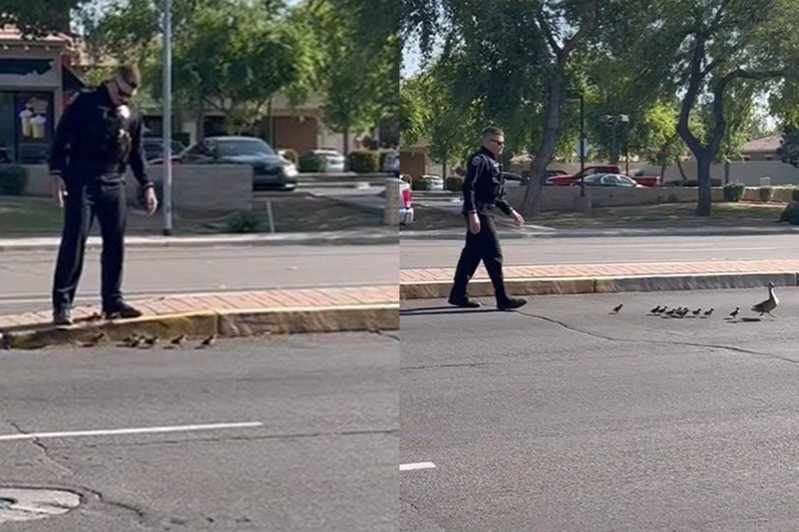 員警幫助小鴨和鴨媽媽團聚，並且護送牠們過馬路。圖擷自@az.real.estate