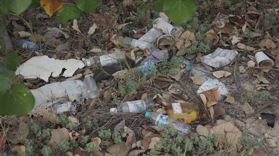 金門的歐亞水獺棲地附近有許多塑膠垃圾。圖／綠色和平提供