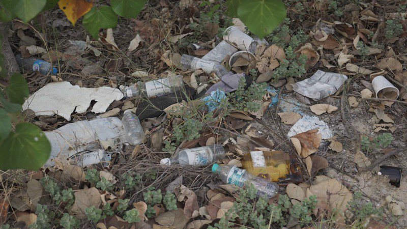 金門歐亞水獺棲地附近有塑膠垃圾。圖／綠色和平提供