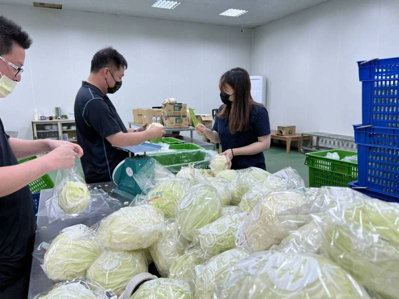 受到疫情停課影響，新竹縣一天最多會有上百公斤蔬菜「無路可去」。圖／縣府提供