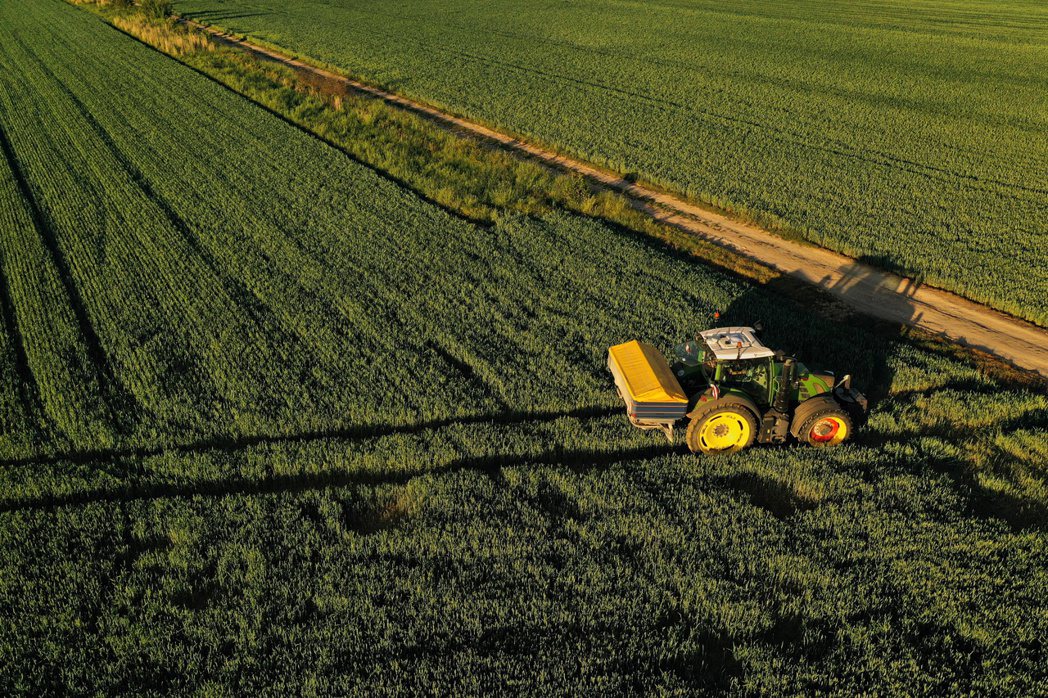 即使肥料價格下跌，此刻的報價仍然比一年前高87％。路透