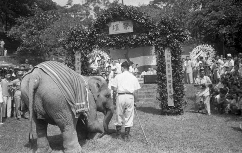 1954年5月28日，台北市動物園年度慰靈祭在圓山動物園舉行，大象主祭跪拜。圖／聯合報系資料照片