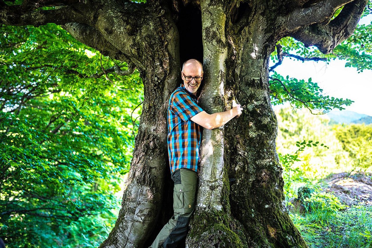 有「德國最偉大的林務員」、「能跟樹木交談的男人」之稱的作家渥雷本，近期在《自然就樹美》一片中，現身又獻聲。圖／中央社