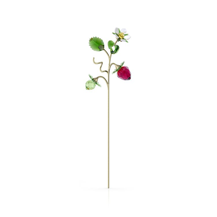 Garden Tales野莓，4,250元。圖／施華洛世奇提供