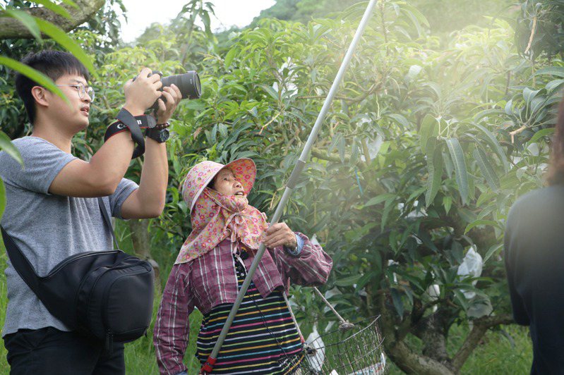 果嶼團隊成員到芒果小農產地協助拍攝產地故事，讓更多人認識醜果。圖／果嶼提供