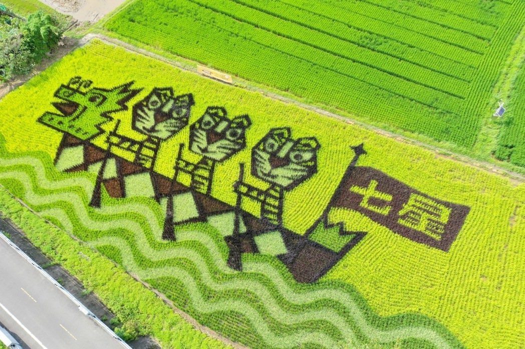 以「虎虎生威向前衝」作為水稻地景藝術主題，6月為最佳觀賞期。