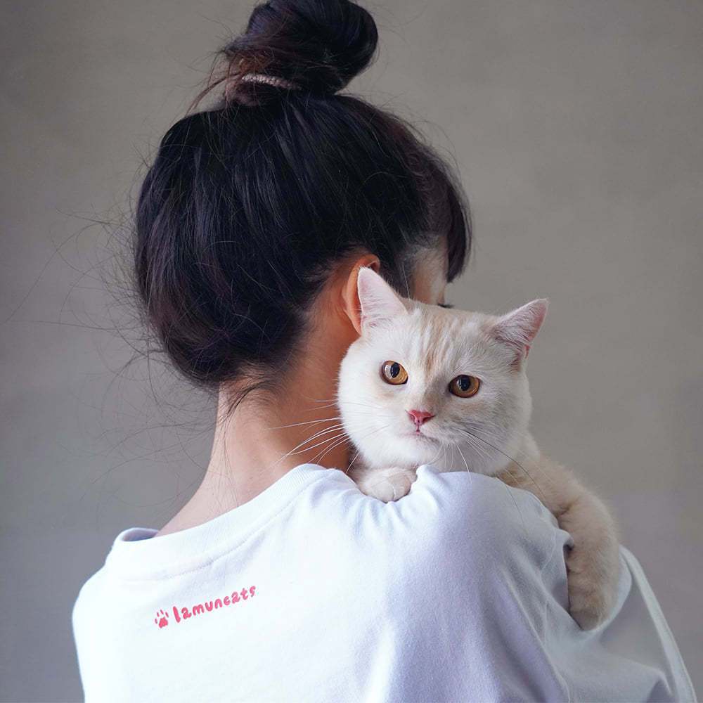知名寵物頻道分享抱貓咪的小技巧。圖／拉姆有幾噗臉書