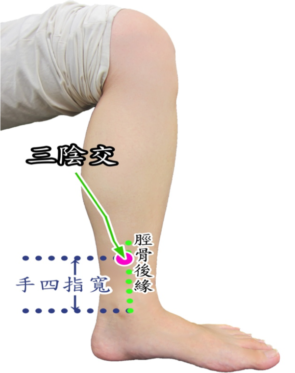 ▲林姿婷醫師表示，按摩穴位也能幫助袪濕，按摩位於小腿內側，脛骨後緣凹陷處的三陰交穴。

