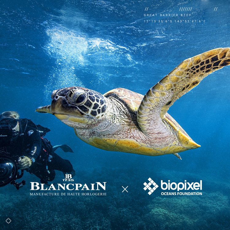 寶珀（Blancpain）與PADI合作，目標是在2030年保護全世界約30%的...