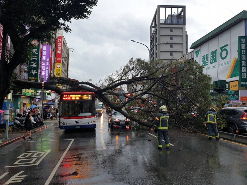 台北市士林區中正路與華光街口，6日下午一棵高達約12公尺、直徑約60公分的行道樹倒塌，波及行駛中的車輛。圖／聯合報系資料照片