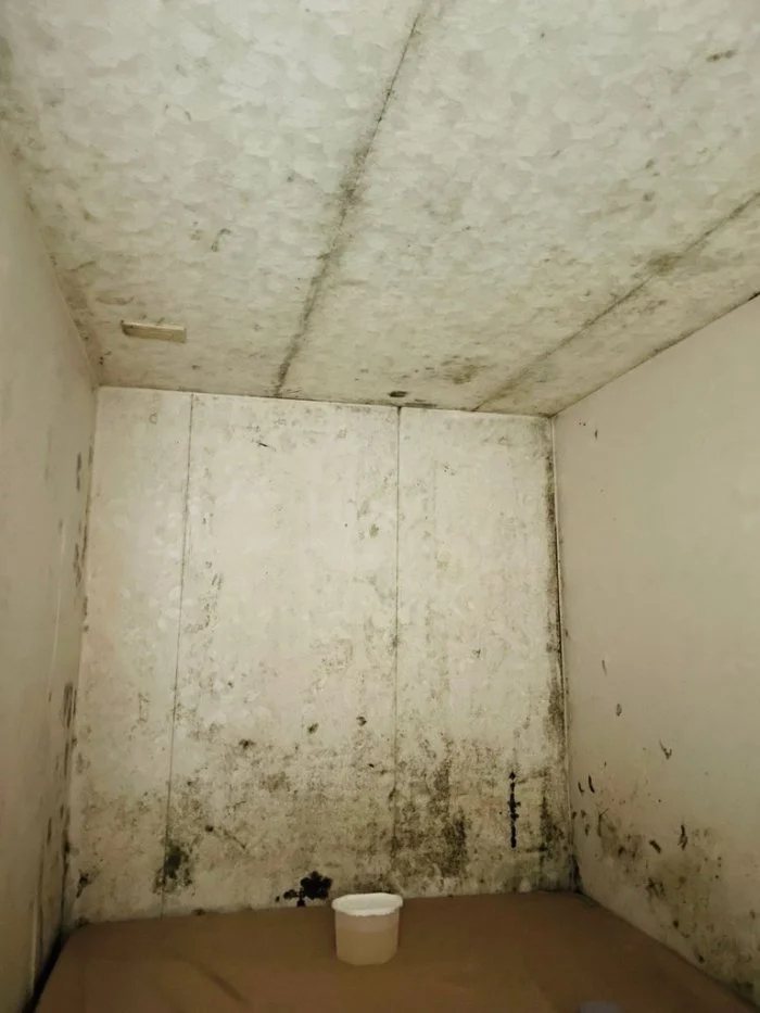 原PO夏天租房，沒想到冬天房屋非常潮濕，牆壁甚至會滲水。圖擷自Dcard