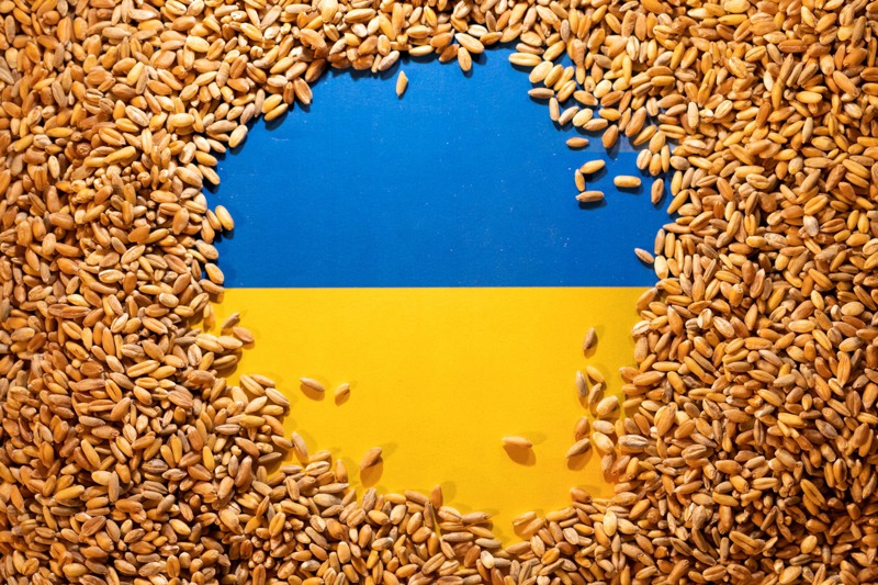 由於基礎設施面臨挑戰和海上封鎖，截至今年5月初，約2200萬噸穀物滯留烏克蘭。路透