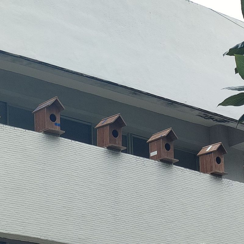 縣府打造的鳥屋都設計一個洞口，方便小雨燕鳥爸媽進出，且鳥屋防水，屋內都可保持乾燥。記者尤聰光／攝影