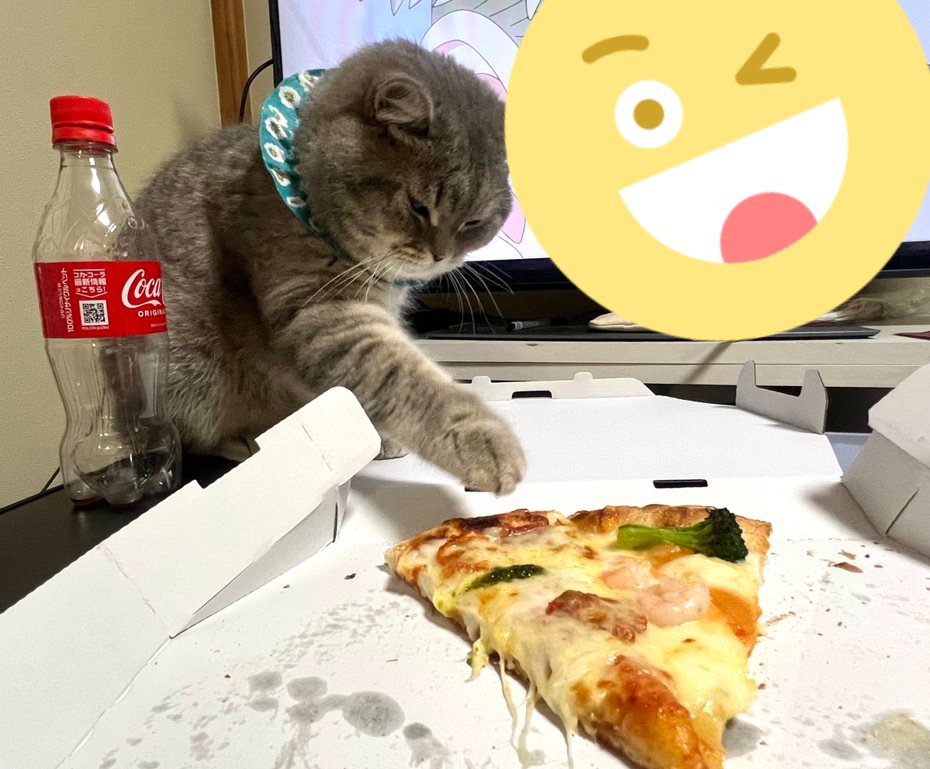 貓貓想偷吃披薩被間諜家家酒男主抓包。圖取自推特
