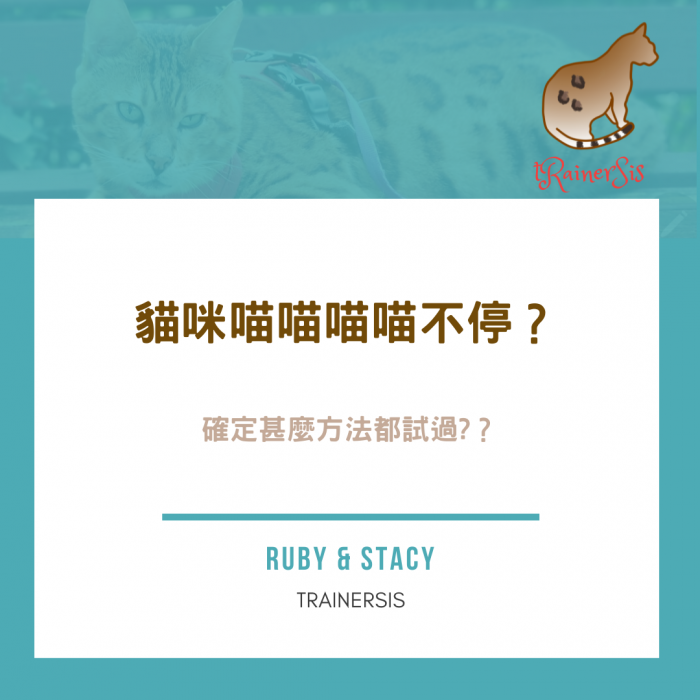 （圖／「RUBY & STACY 貓咪訓練師 | 貓行為諮詢」IG授權提供，未經...