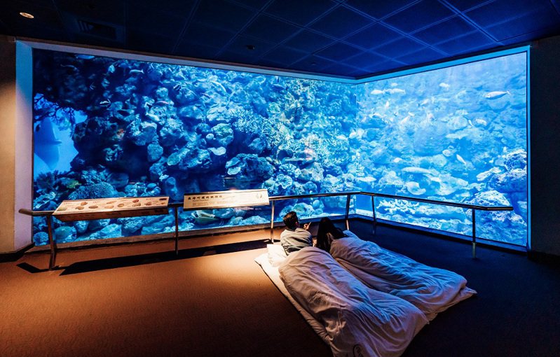 夜宿全台最大的海生館，浪漫南灣GET。圖/屏東海生館提供