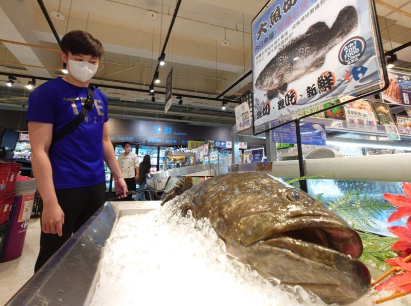 台灣的石斑魚遭到大陸海關下令禁止進口，自6月13日起實施，成為ECFA早收清單的18個農漁產品中的首例。圖／聯合報系資料照片