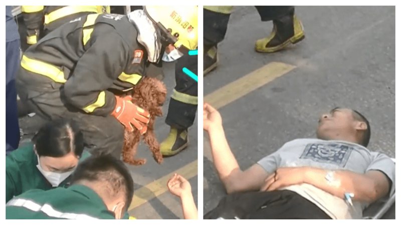 一名貨車司機出車禍受重傷，依然掛心自家狗狗，堅持要跟牠一起坐上救護車。 (圖/取自影片)