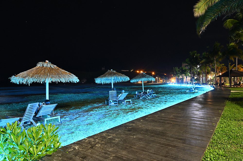 市府觀光局在旗津設置的步道點燈，Tiffany Blue燈光搭配海灘及濱海植物的...