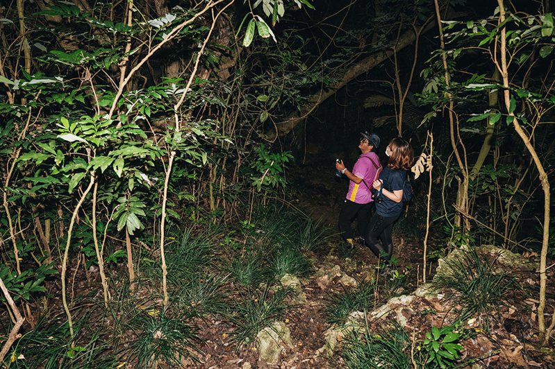 跟著生態專家廖德嵩老師一起探險，發現壽山步道的夜間生態寶盒。(攝影/張晉瑞)