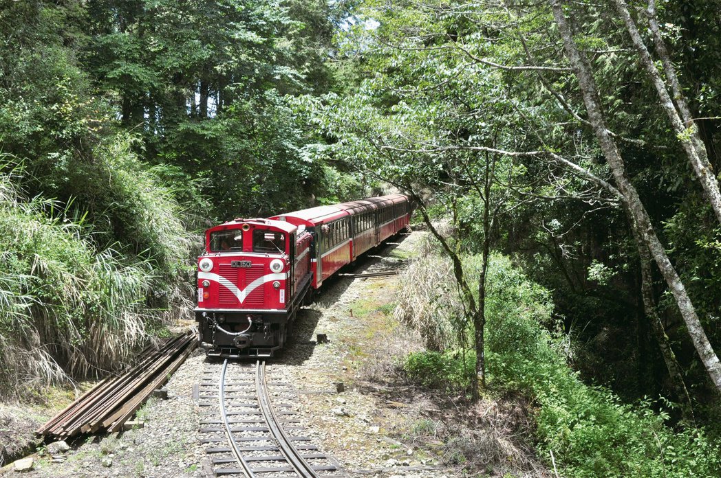阿里山森林鐵路穿越三種林相，這是世界上其他森林鐵路所少有的特色。（圖／作者蘇昭旭提供）